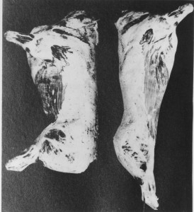 stretching pre rigor muscles to improve quality