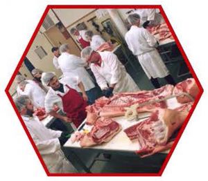 photo of animal carcass breakdown in progress